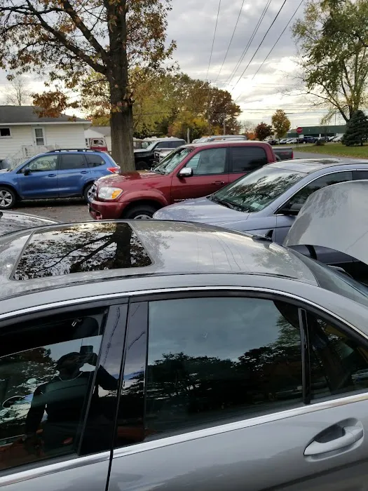 Beebe's Collision 5