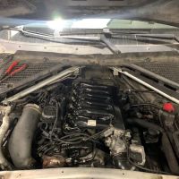 Grizzli Diesel Performance