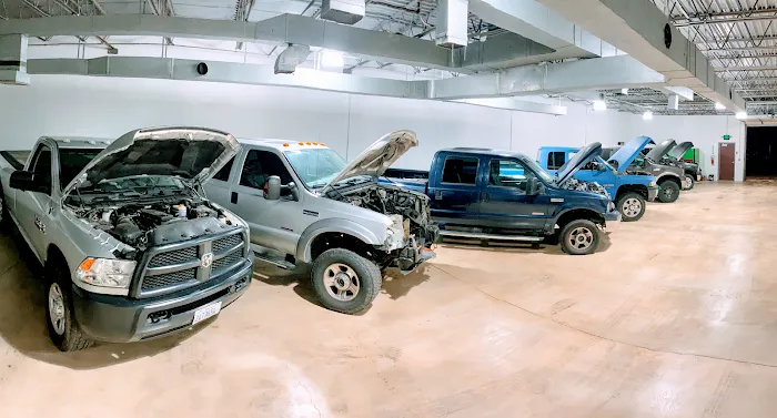 Grizzli Diesel Performance 7