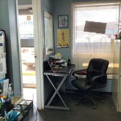 Latintech Auto Repair Inc ico