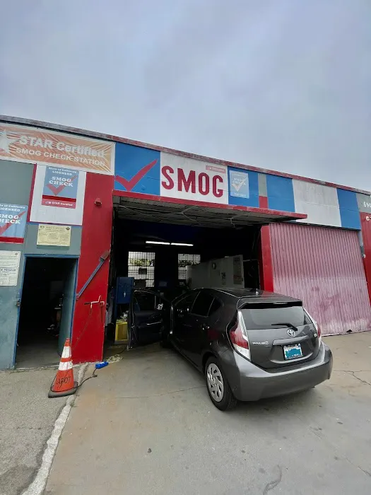 M & Z Smog 0