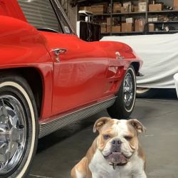 American Motoring Memories ico