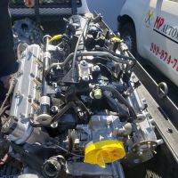 M and P Trade, Inc.