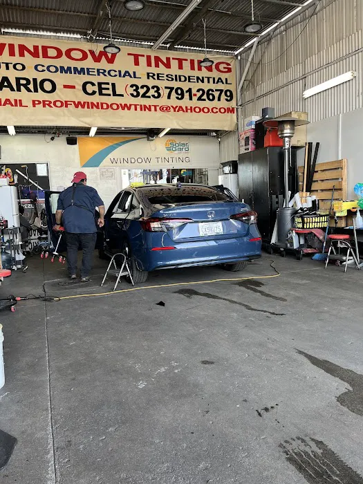 Mario's professional window tint 3