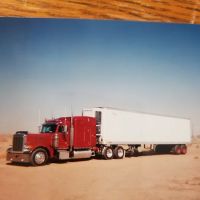 Platinum Transportation Service