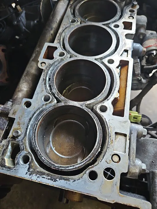 Grizzly Performance & Auto Solution 1