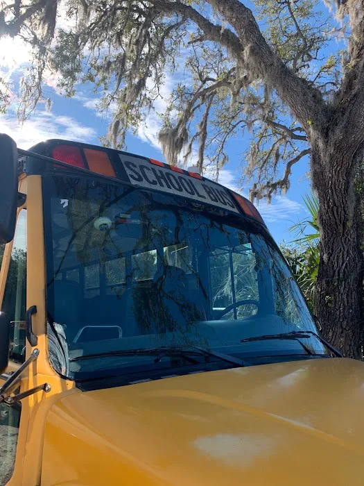 AAA Auto Glass Tampa 4