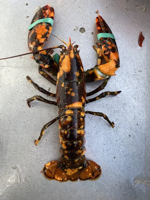 Excavation & Lobster Bait Shop 5