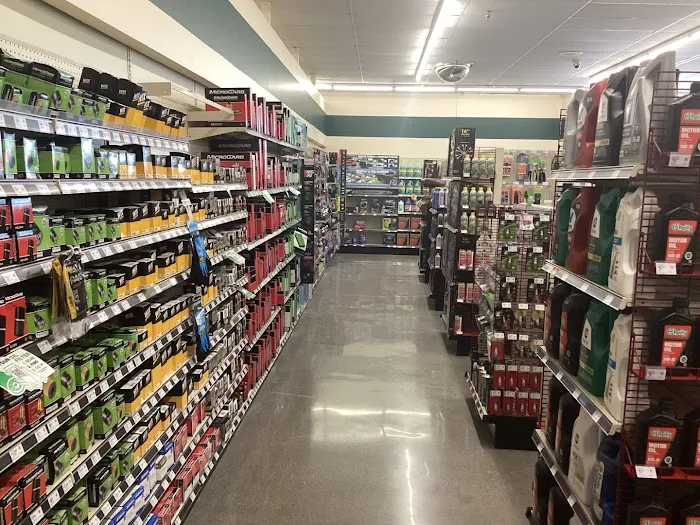 O'Reilly Auto Parts 0