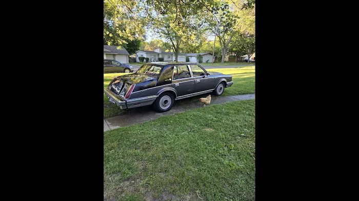 Automotive Dream Team 5