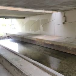 flint arches restoration project ico