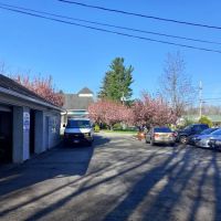Warwick Automotive