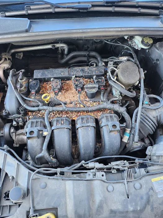 John S Auto 76 6