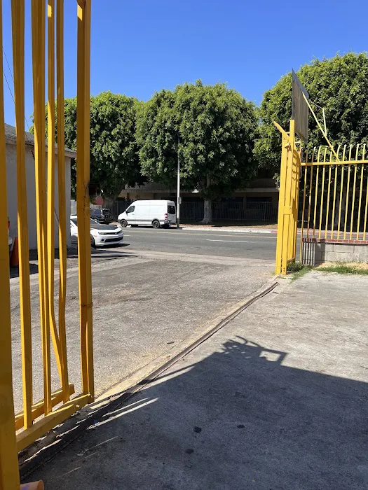 Y D Smog Check 6