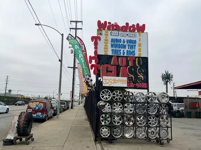 Chihuahua Tires 1