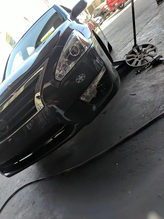 Chihuahua Tires 2