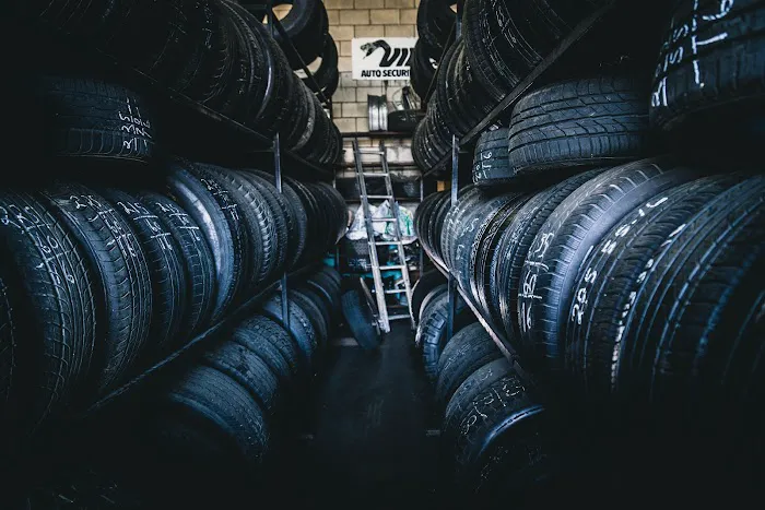 Chihuahua Tires 5