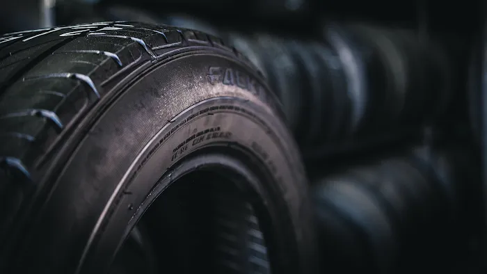 Chihuahua Tires 8