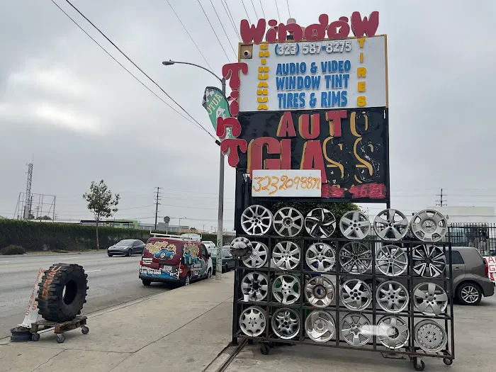Chihuahua Tires 6