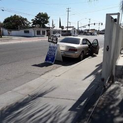 Walter v smog check ico