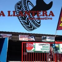 Wolf tires & service