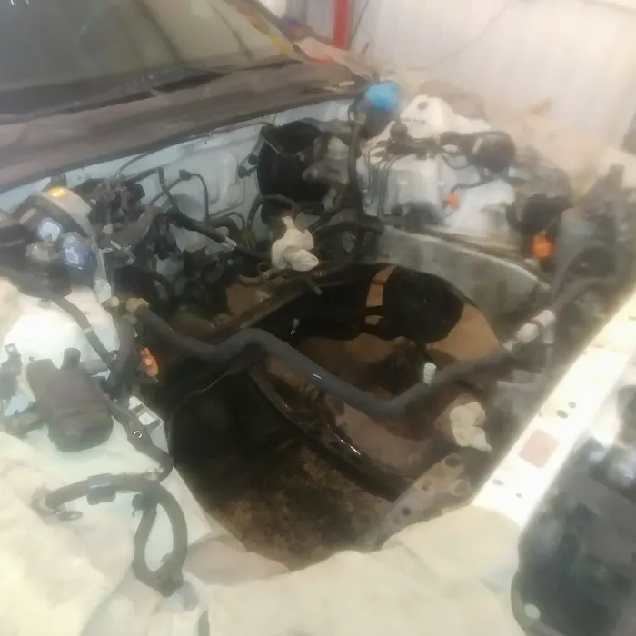 Wolf tires & service 4