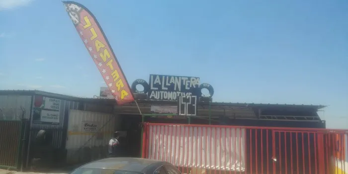 Wolf tires & service 1