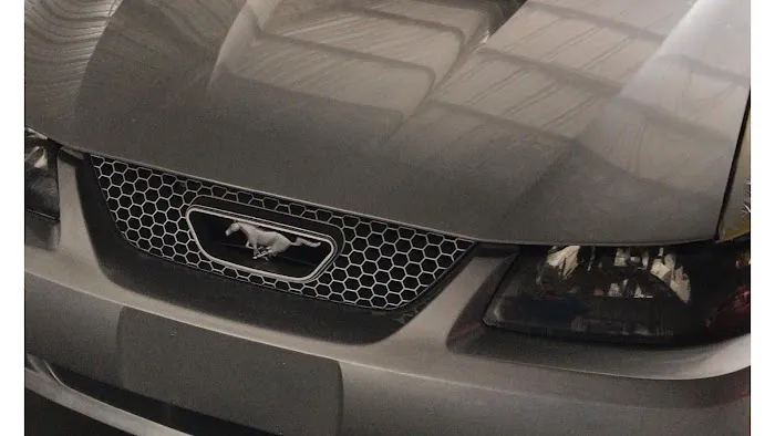 Diversity Auto Collision 4
