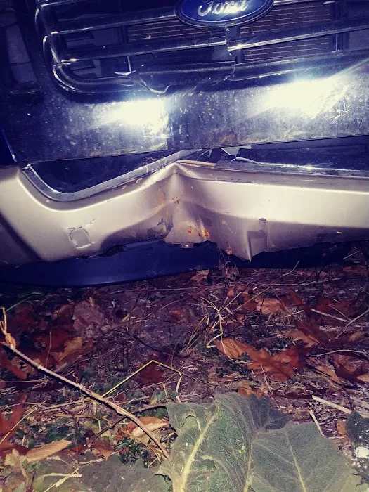 Willie's Auto Body Works 4