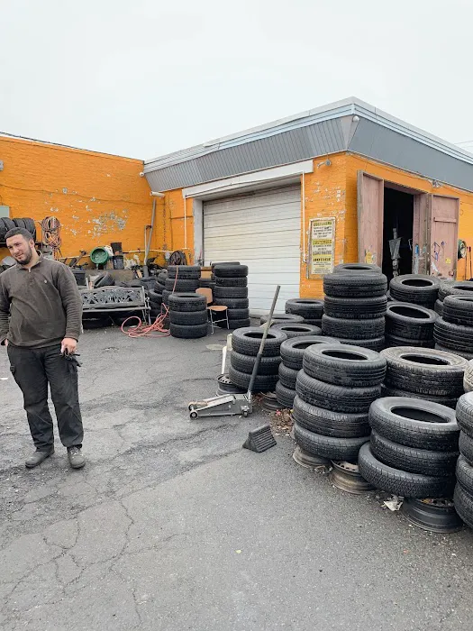 Bedin tires 1