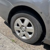 Bedin tires