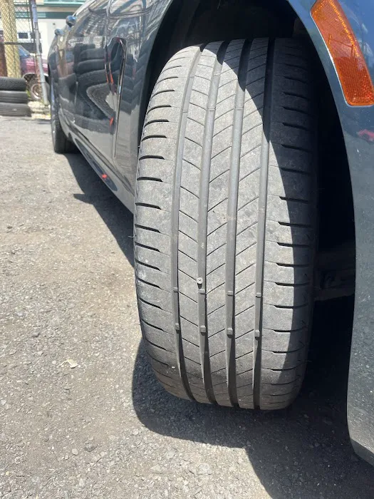 Bedin tires 4