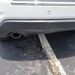 Vina Autocare Inc ico