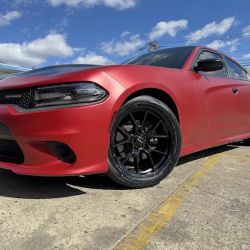 Family Tire ico