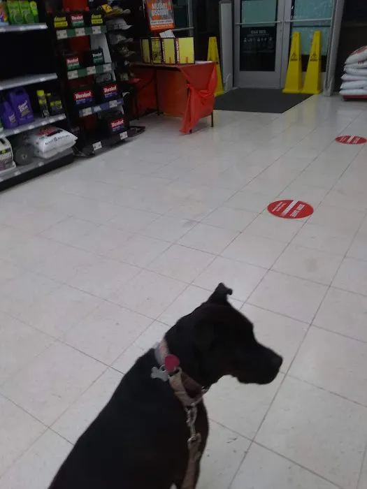 AutoZone Auto Parts 1