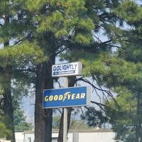 Michael M Golightly & Associates