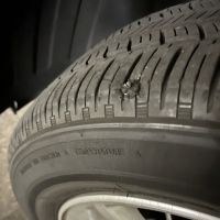WINDOW TINTING SHAGGY.S
