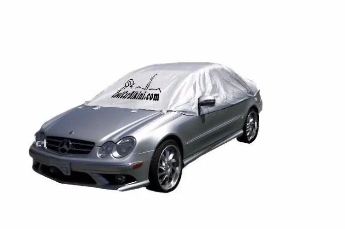 Cool Car Bikini Inc 1