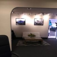 Vega Rock Chip Repair Mobile Service