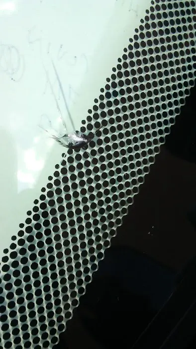 Vega Rock Chip Repair Mobile Service 3