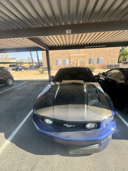 Vikings Autoglass 8