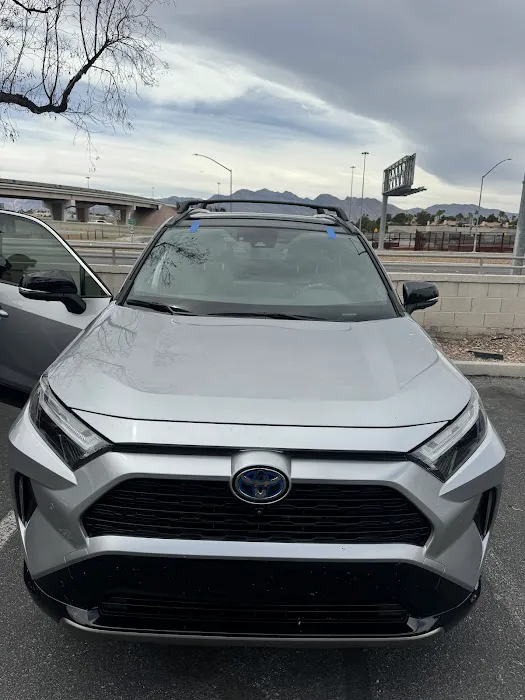 Vikings Autoglass 6