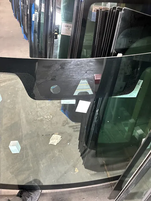 Vikings Autoglass 7