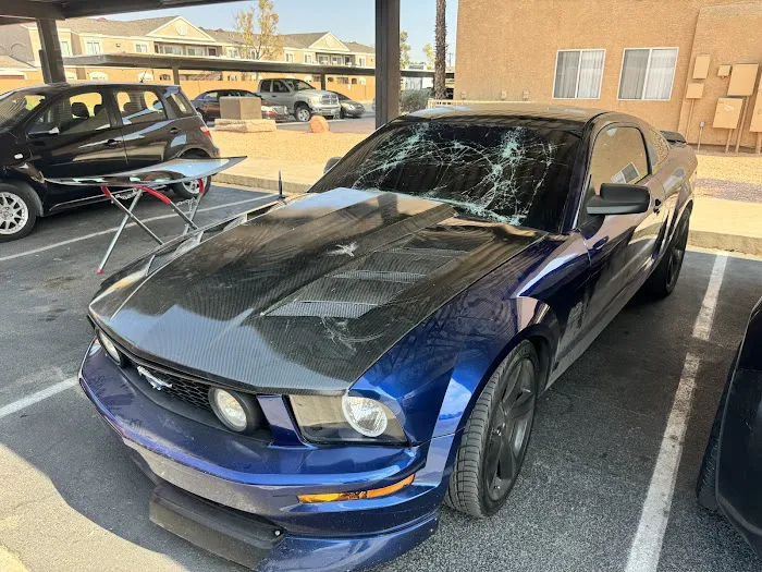 Vikings Autoglass 9