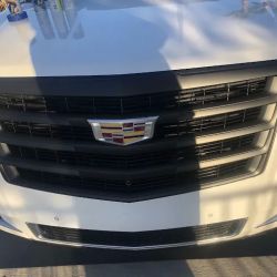 Premium Auto Customs ico