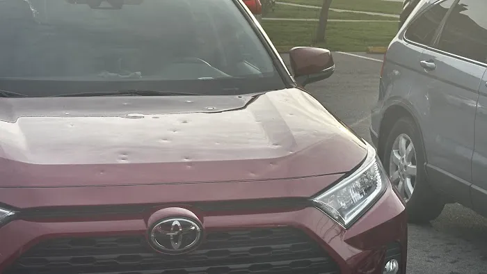 Dents Vanish 6