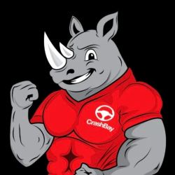 CrashBay ico