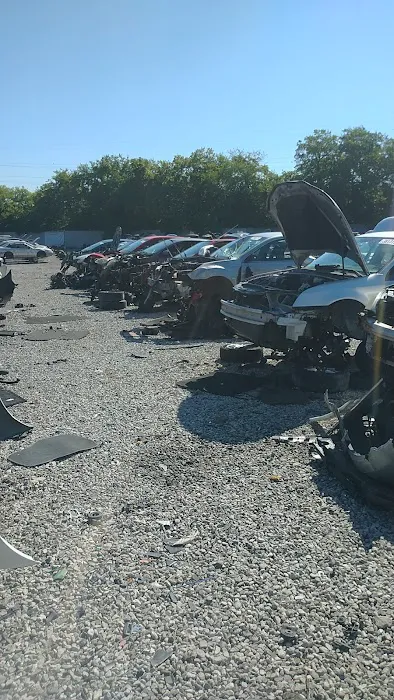 Junkyard 4