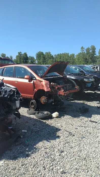 Junkyard 3