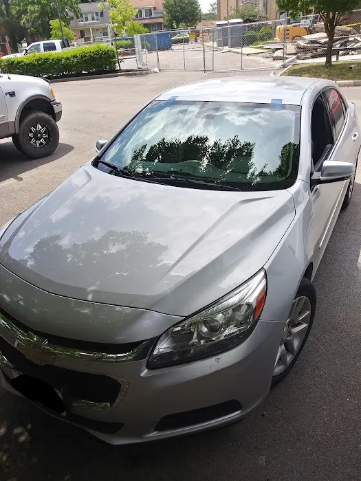 Wolf's Auto Glass II 5